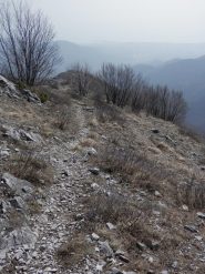 qualche tratto di respiro
