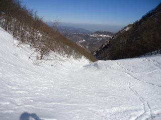 inizio boschina