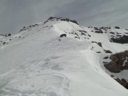 dorsale