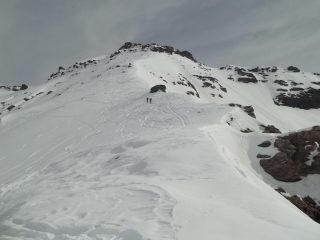 dorsale