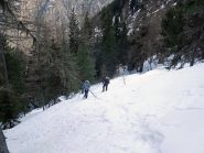 bosco ripido dopo il canalone