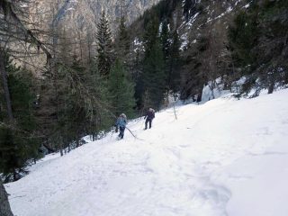 bosco ripido dopo il canalone