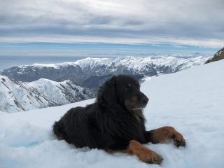 Il riposo del guerriero