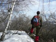 In cima