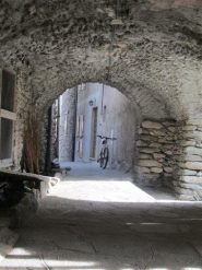 Arnodera