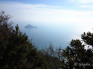 Sull'Isola Gallinara