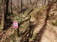 Lungo il Trail del M. Soglio