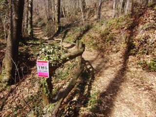 Lungo il Trail del M. Soglio