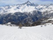 Pendii a SW intonsi e con buon rigelo