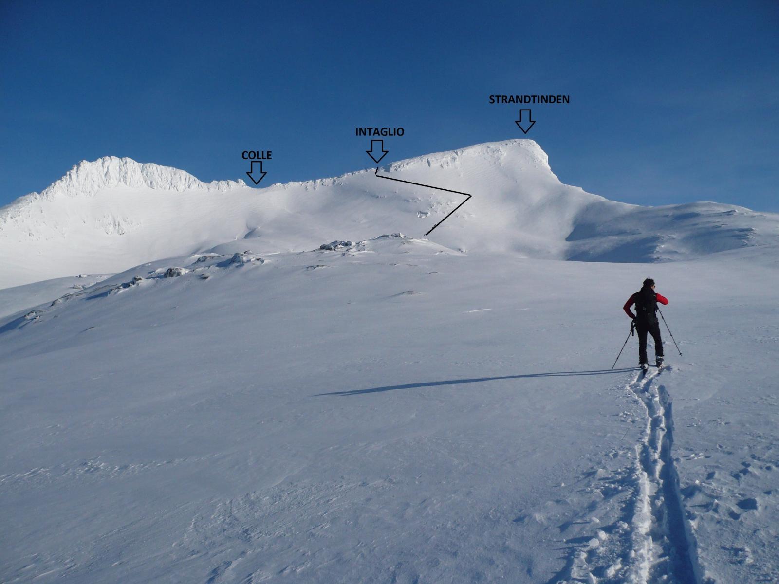 la vetta da quota 700 m circa