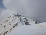 Testa di Cavias dalla Quota