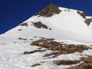la vetta della paretina 