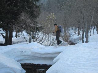 quanta neve