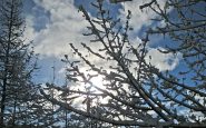 sembra gennaio e siamo in primavera!