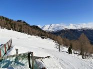 Meire Garneri  e cielo blu