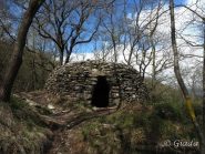 La casella nel bosco dietro al Pisciavino