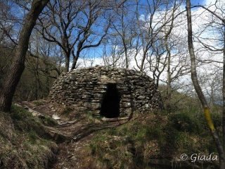 La casella nel bosco dietro al Pisciavino