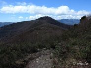 Verso la Madonna della Guardia 