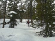 Nel bosco c'era ancora una bella farinetta