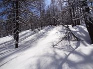 da 15 a 20 cm di neve fresca