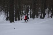Condizioni discesa nel bosco