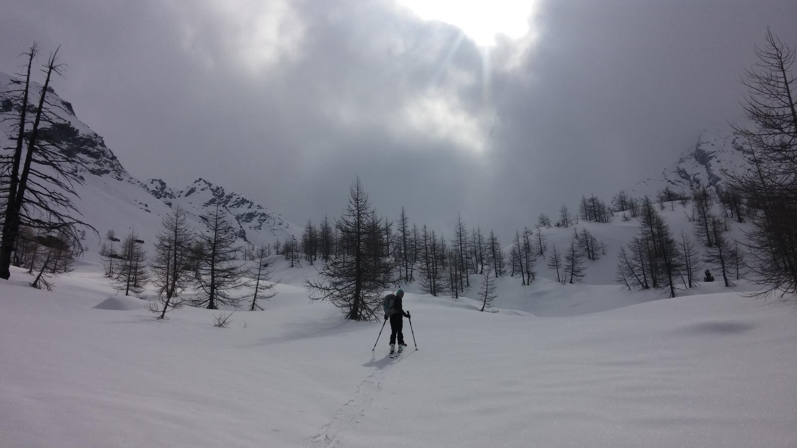 a tratti un po' di sole