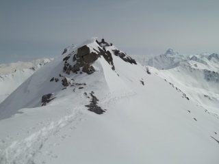 cresta