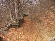 la bella mulattiera di salita