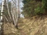 la bella mulattiera di salita