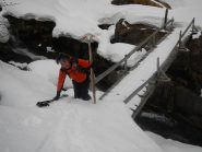 alloro al 3° ponte