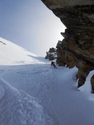 La farina sotto il tetto...