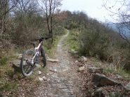 sulla crestina
