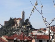 castellaro in lontananza