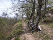i bellissimi single del giro
