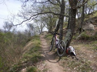 i bellissimi single del giro