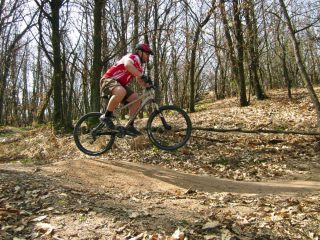 il cinghiale volante 