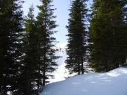 l'uscita dal bosco sotto il lago delle Bose