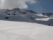 le pennellate della parte alta