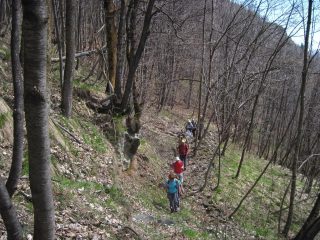 Alle Coste