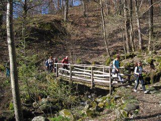 Verso Pessinea