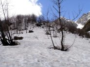 slalom tra le piantine