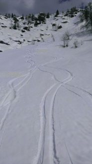 arrivederci