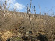 ancora notevole la conseguenza dell'incendio del 1999