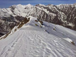 vista 4