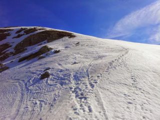 vista 1