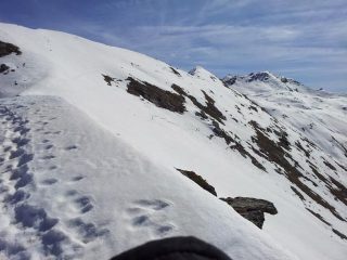 vista