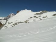 ecco la punta