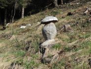 funghi fuori stagione ?