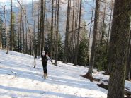 il primo tratto è nel bosco...