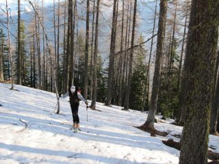 il primo tratto è nel bosco...